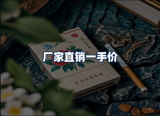 专业团队办公环境